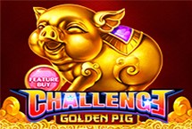 Feature Buyã»golden Pig