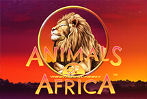 Animals of Africaâ¢